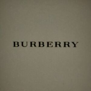 BURBERRY Classic Brown and Beige Watch Box